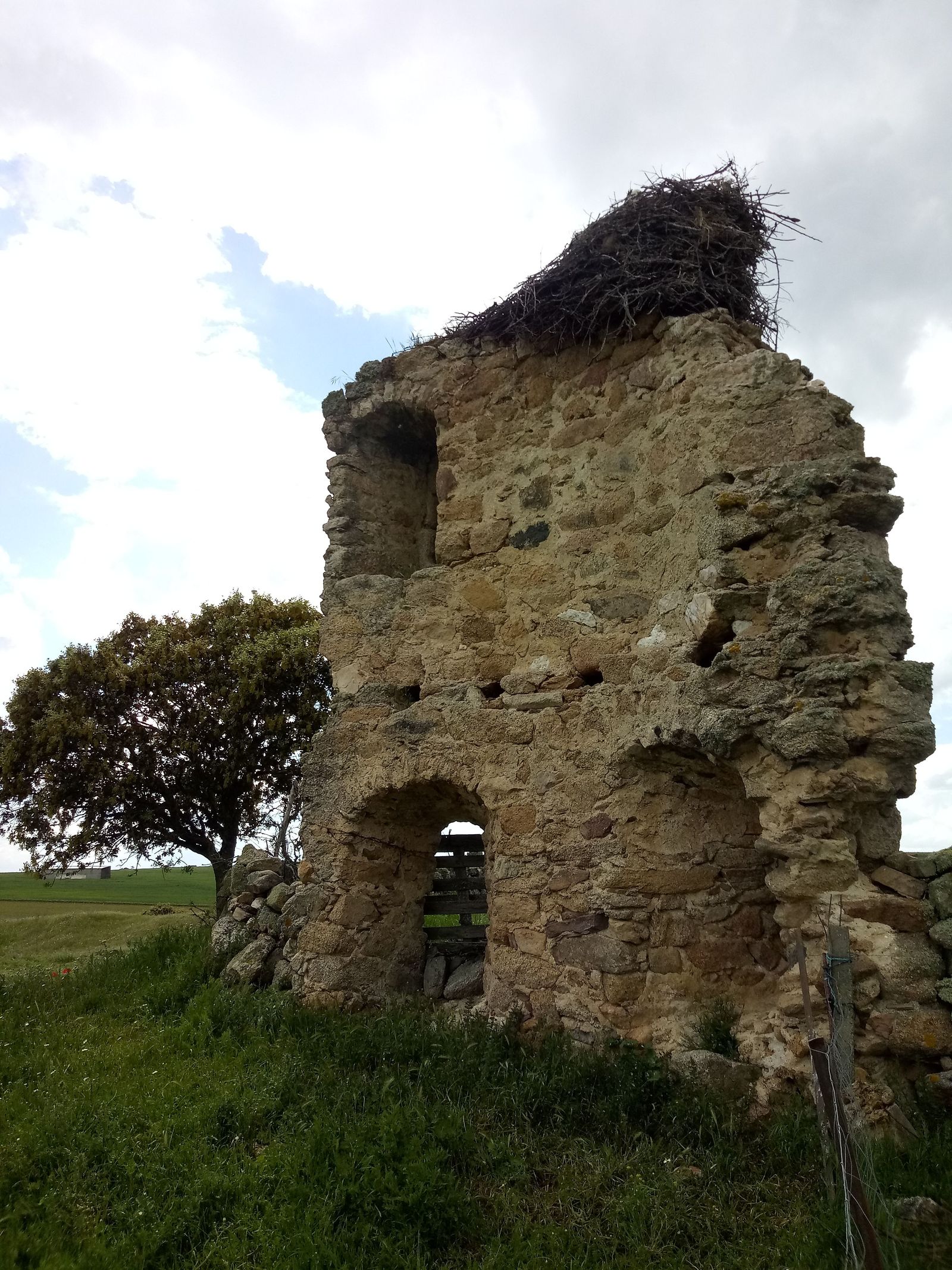 Castillo de Buenamadre (interior de la torre).