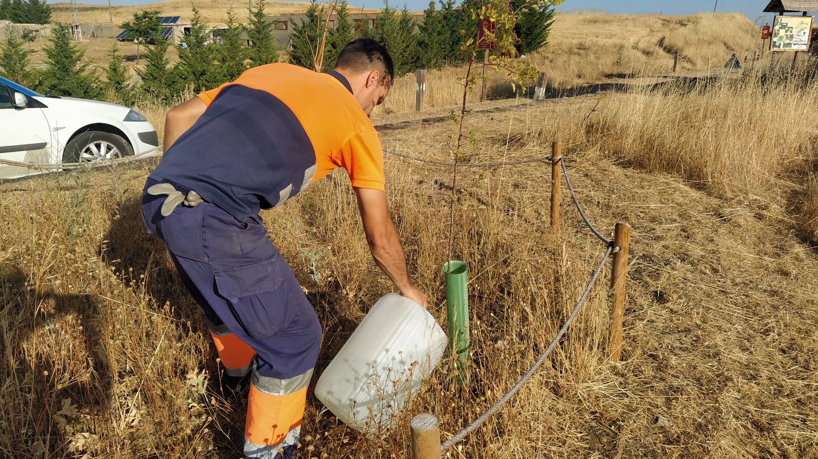 Trabajos de mantenimiento en el Camino de las Mariposas de la vía Verde de Alba  (3)