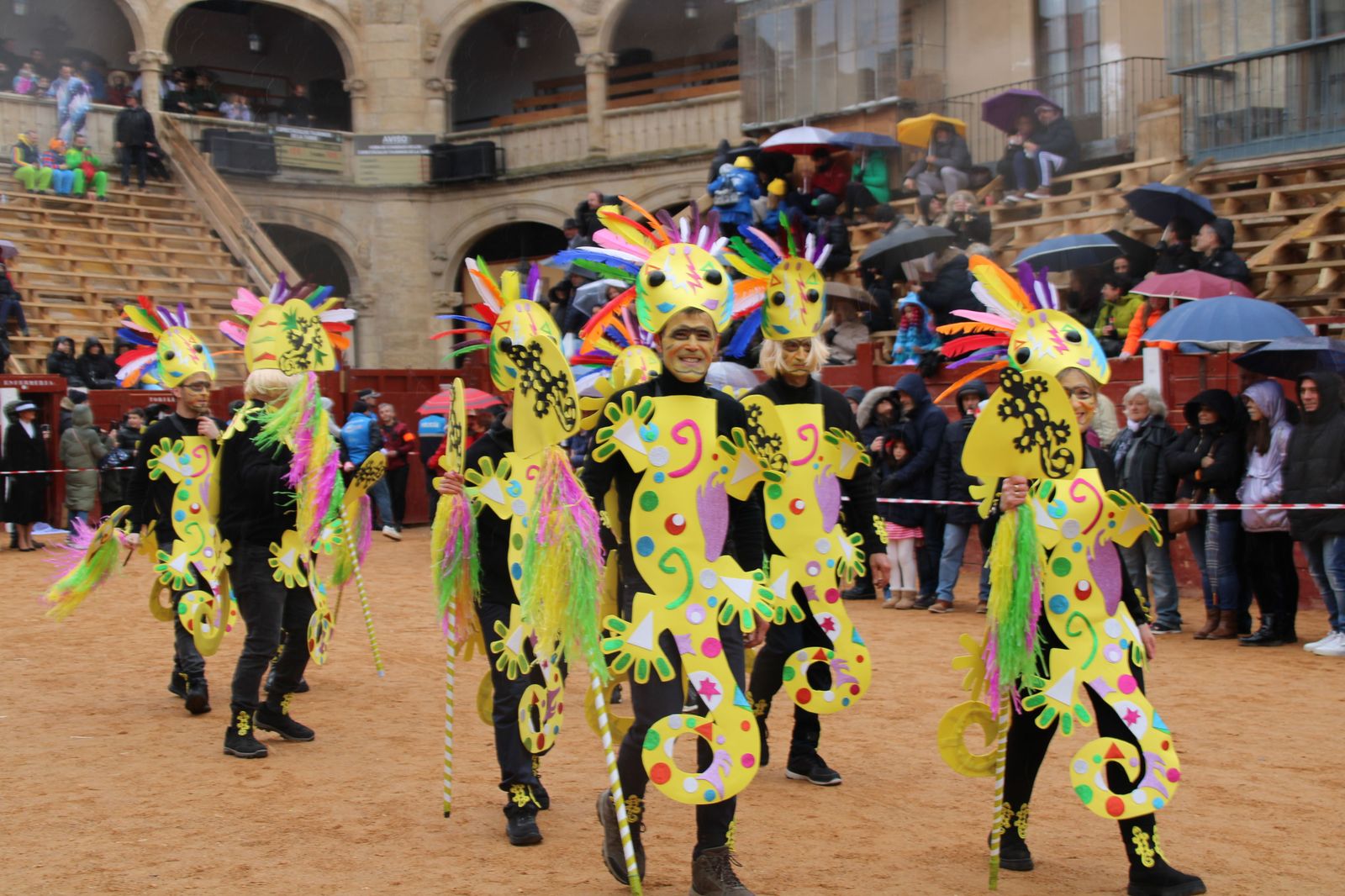 desfile-disfraz-callejero-sabado-carnaval-ciudad-rodrigo-2025-19
