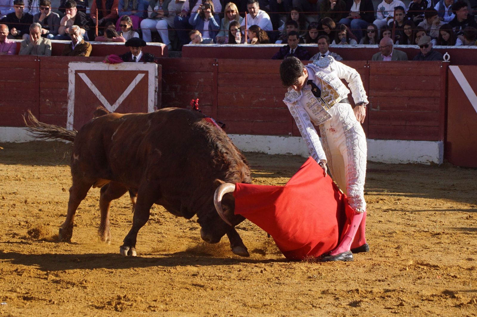 novillada-con-picadores-en-villoria-72