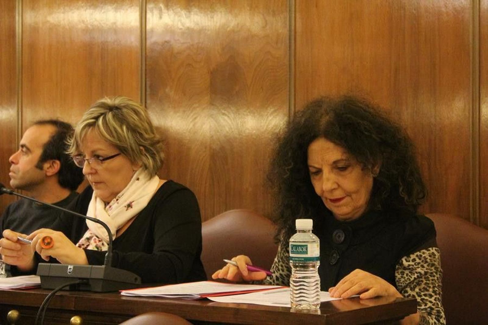 Laura rivera pleno dipu marzo IU