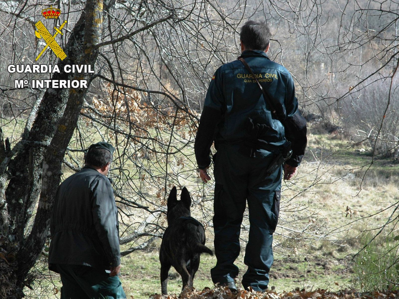 Un operativo de búsqueda de la Guardia Civil. Archivo