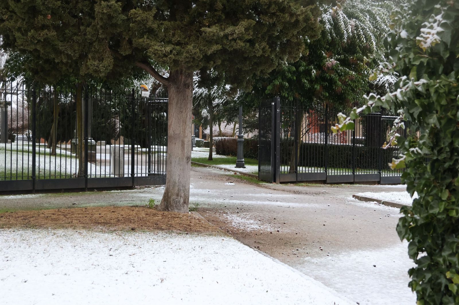GALERÍA | Nieve en Zamora capital este miércoles