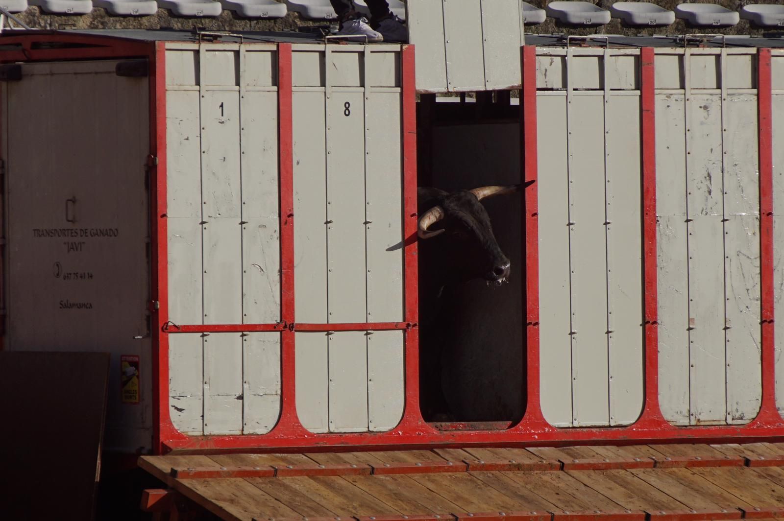 whatsapp-image-2023-09-08-at-19-29-32