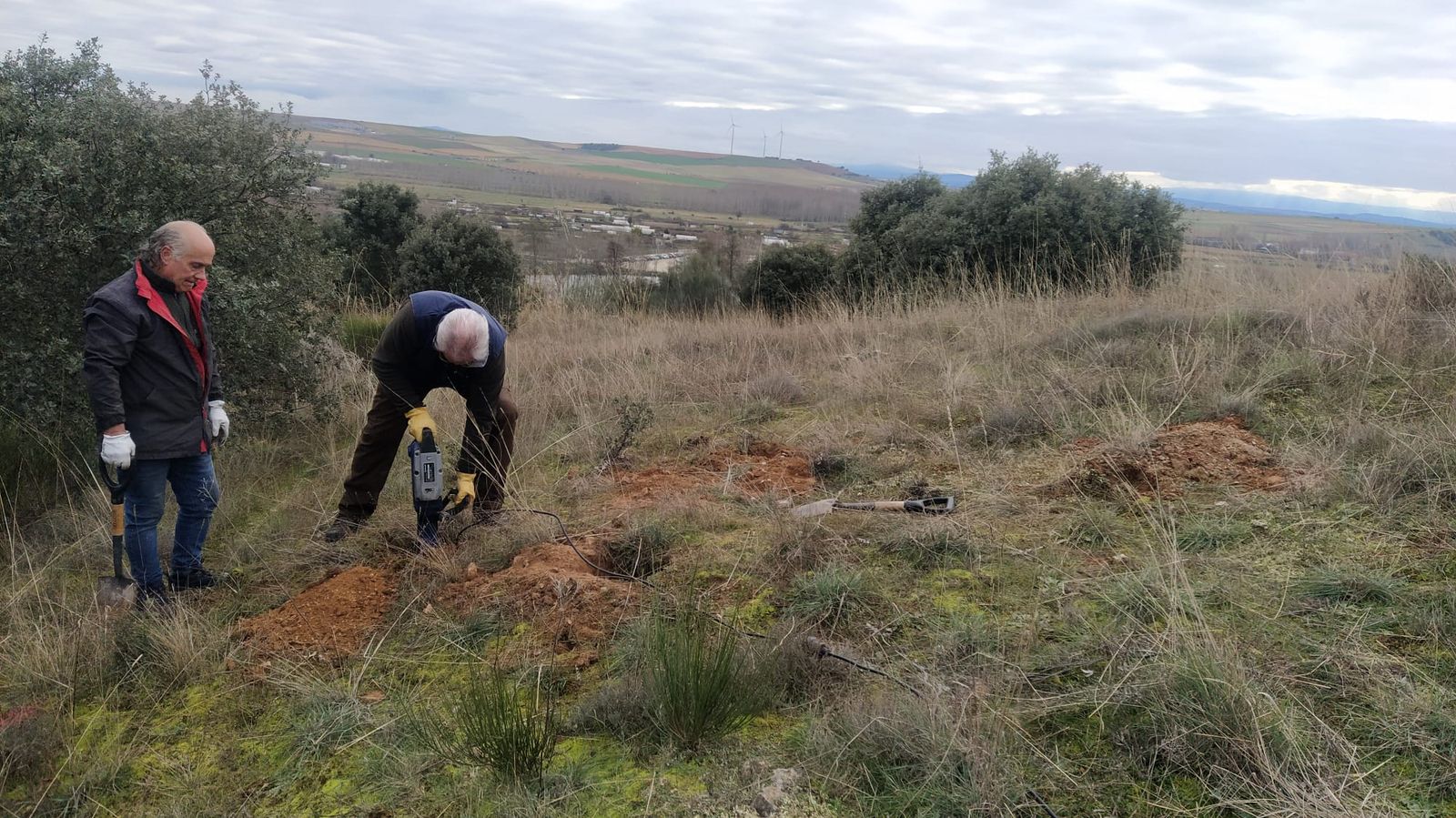 Obra mariposario Alba de Tormes