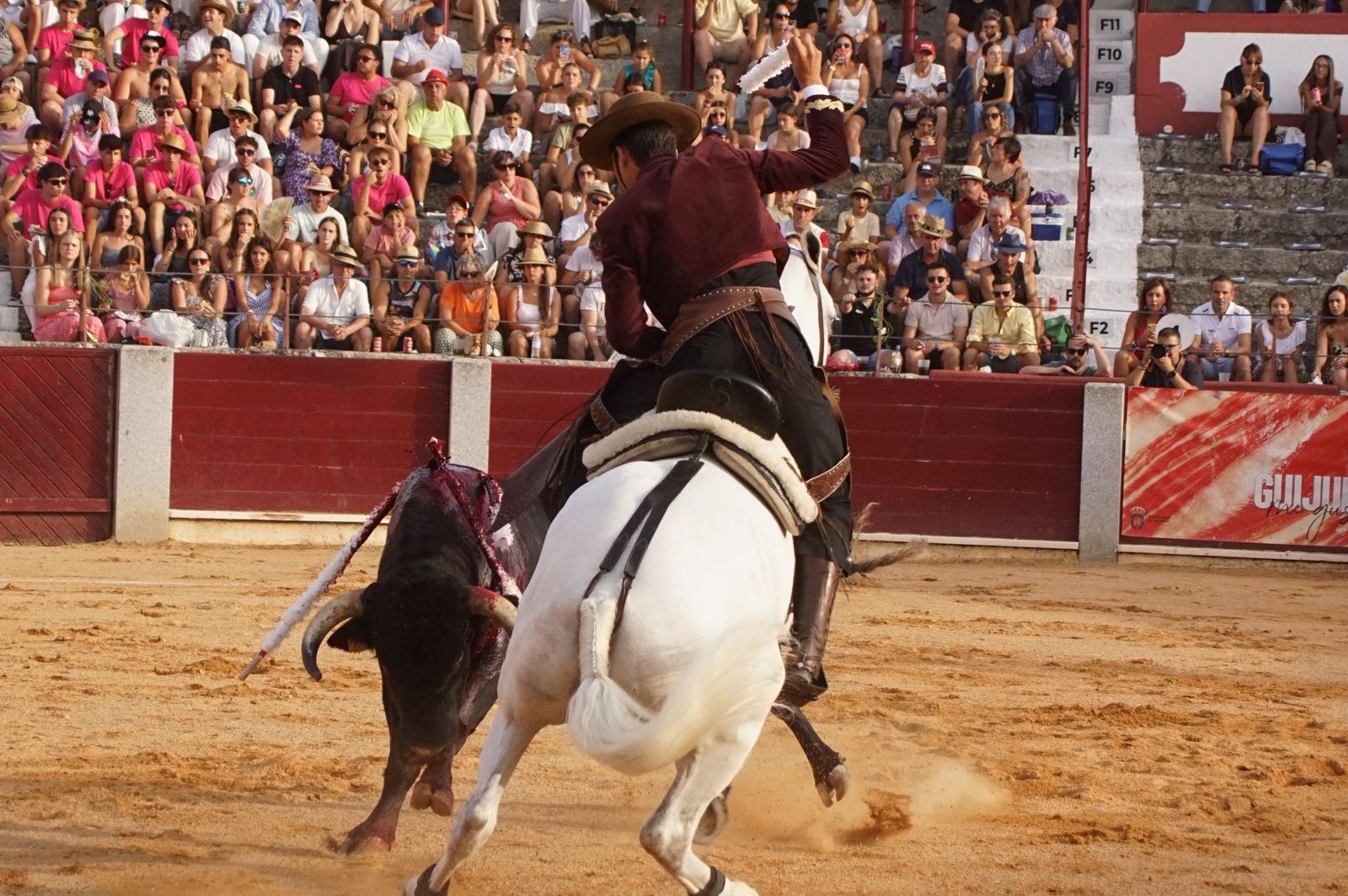 Novillada mixta en picadores en Guijuelo, 17 de agosto