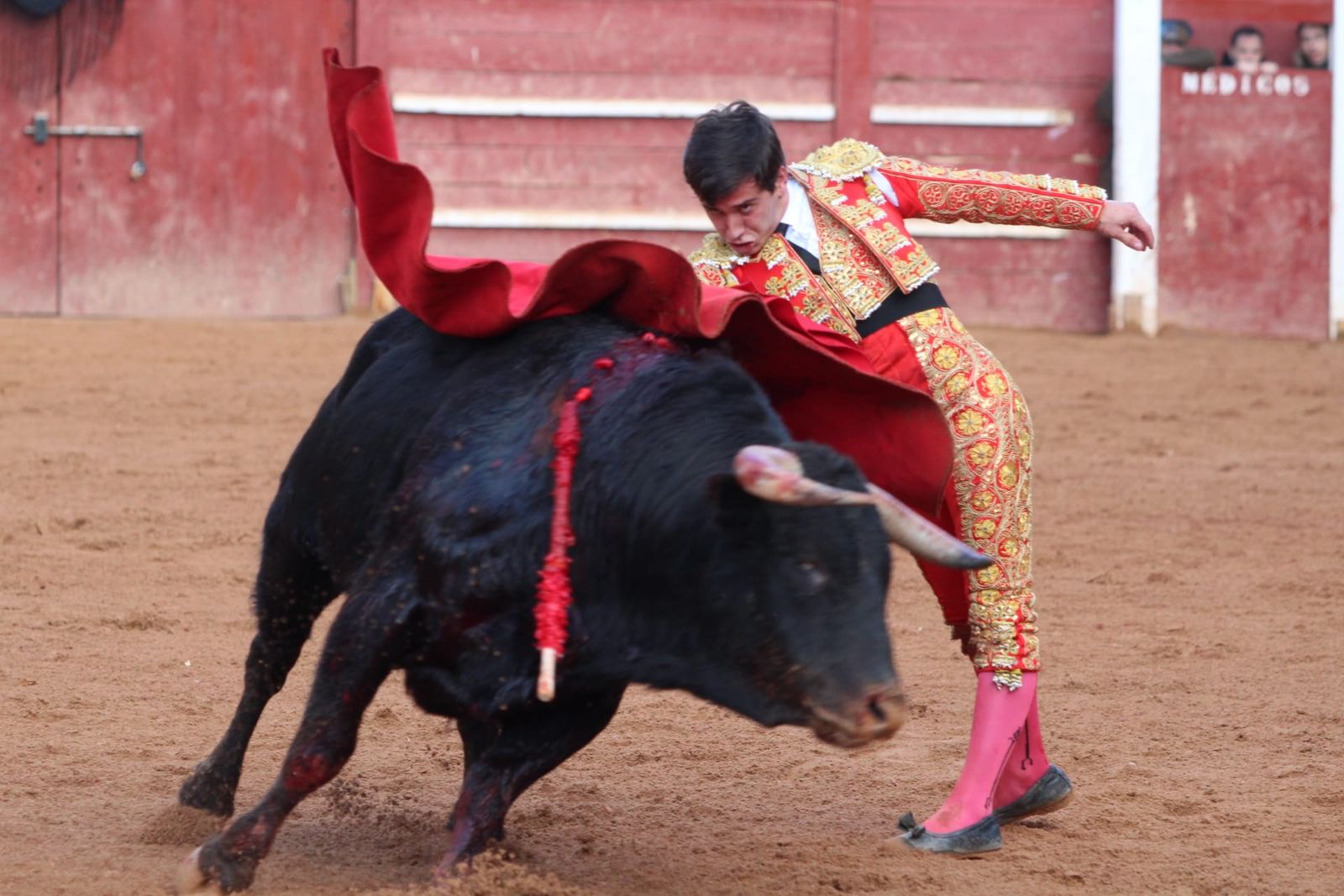 novillada-con-picadores-lunes-de-carnaval-en-ciudad-rodrigo-13