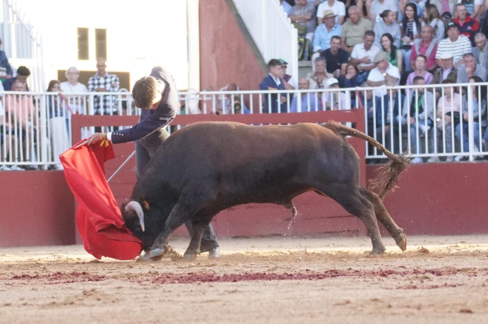 whatsapp-image-2024-09-07-at-20-49-11-6