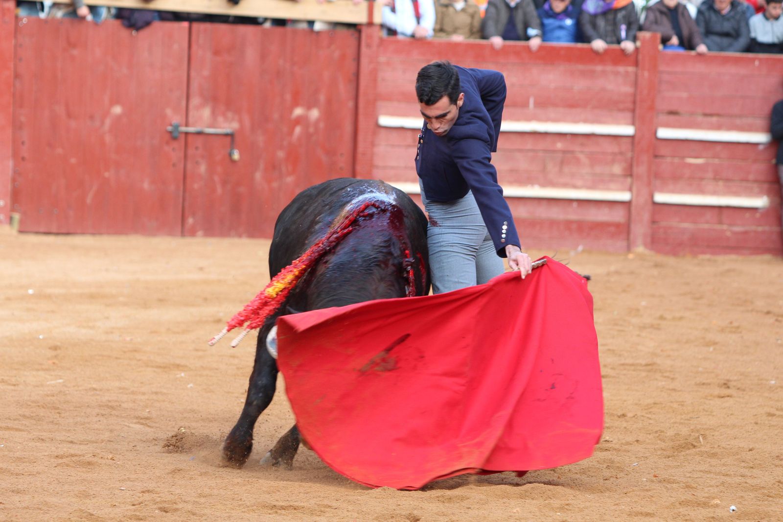 Chaves, El Capea y Pérez Pinto abren la Puerta Grande en el primer festival del Carnaval de Ciudad Rodrigo de 2023