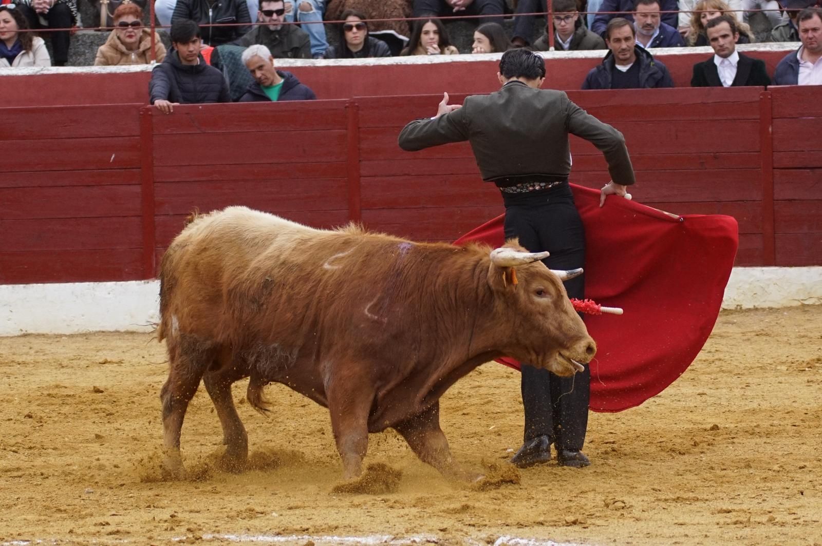 Festival taurino en Villoria