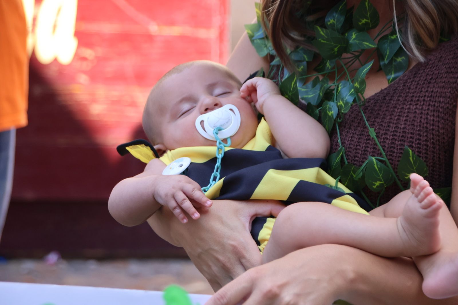 San Esteban de la Sierra, desfile de carrozas y disfraces