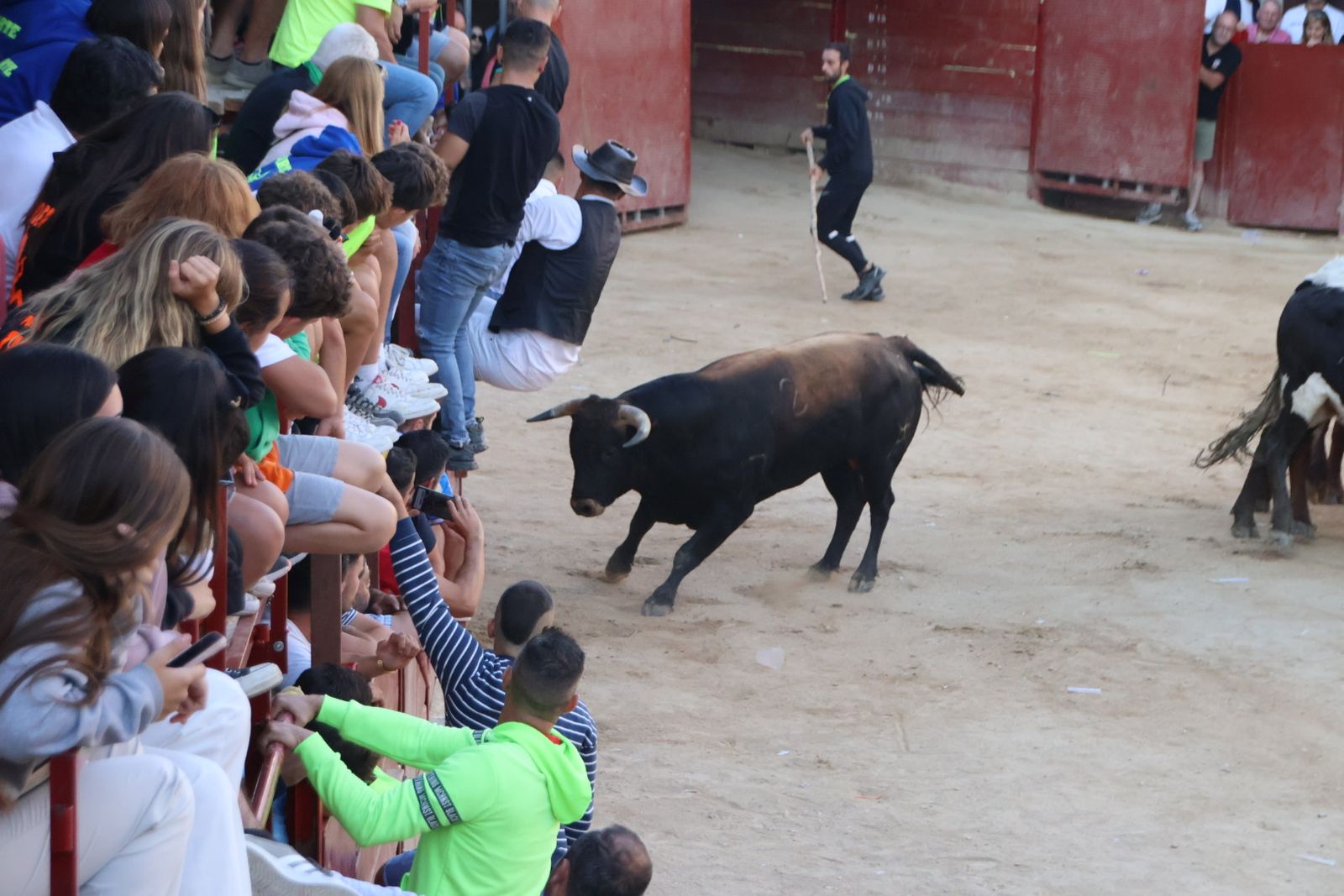 Encierro en Aldeadávila