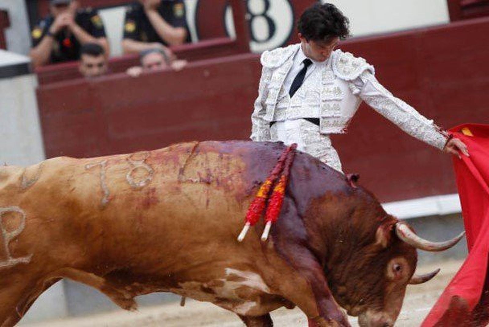 Juan del Álamo recoge el premio a mejor torero de San Isidro de Telemadrid Juan del Álamo recoge el premio a mejor torero de San Isidro de Telemadrid