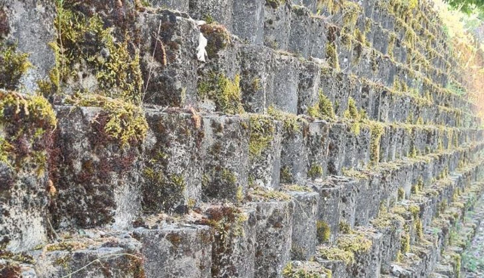 Imagen de WhatsApp 2024 06 14 a las 13.20.43 bda9fc68