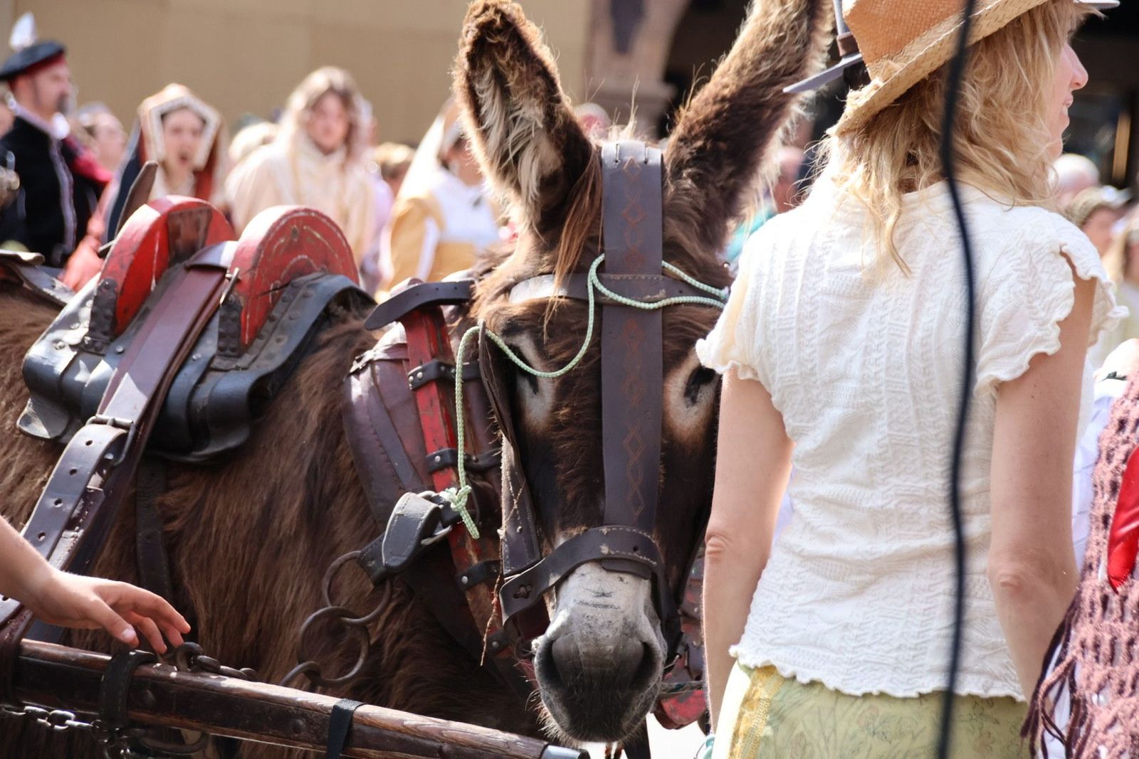 20230603170333-img-9115