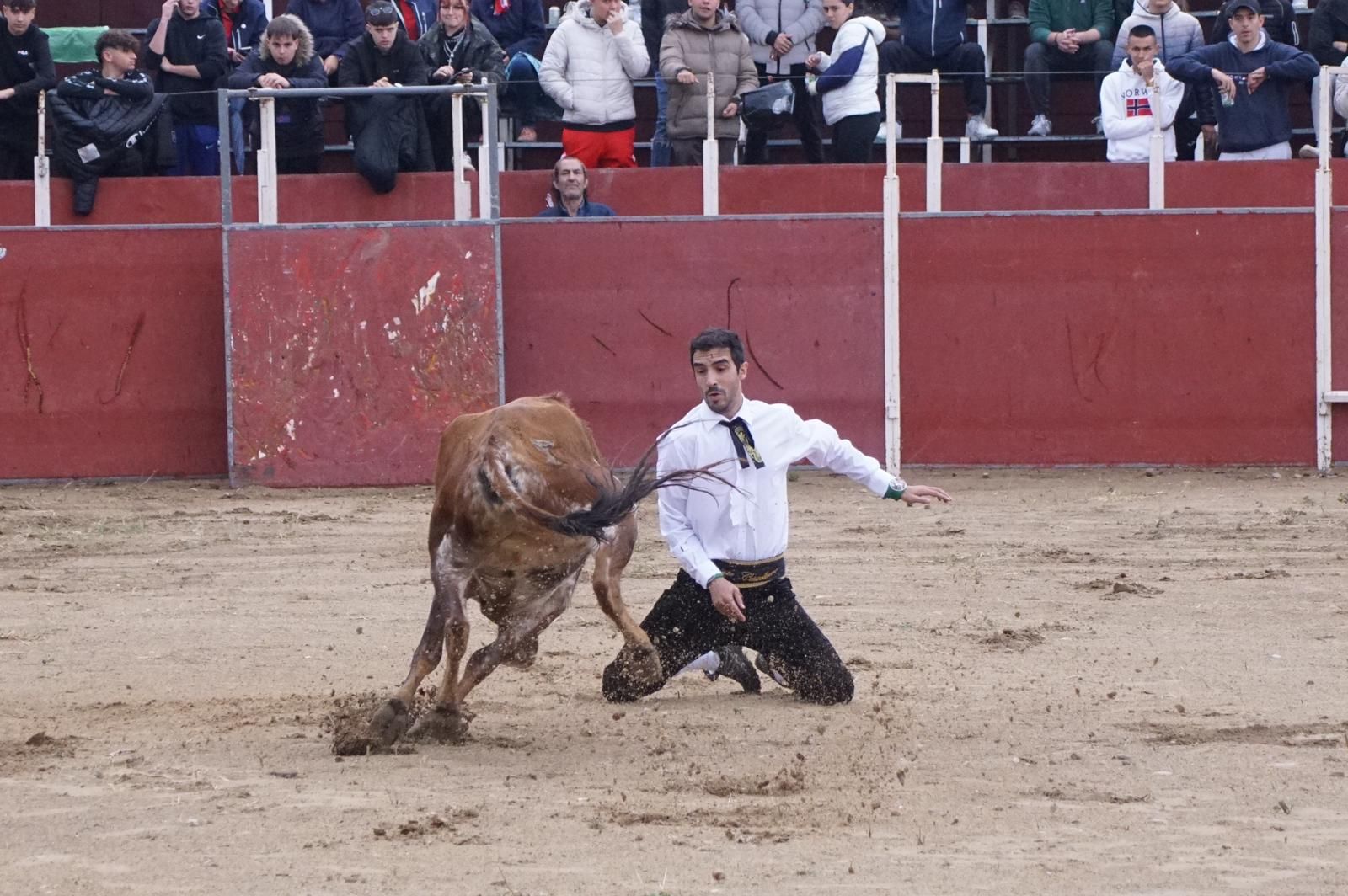 whatsapp-image-2023-05-22-at-20-19-03