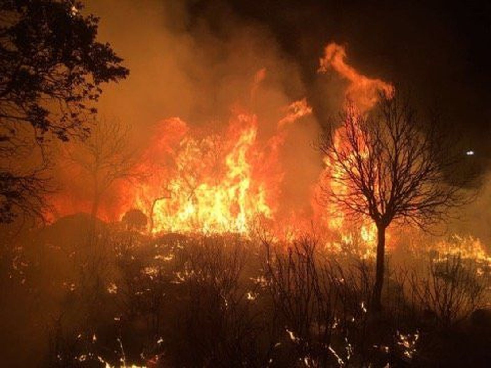 Controlado y en vías de extinción el incendio forestal en Trabanca