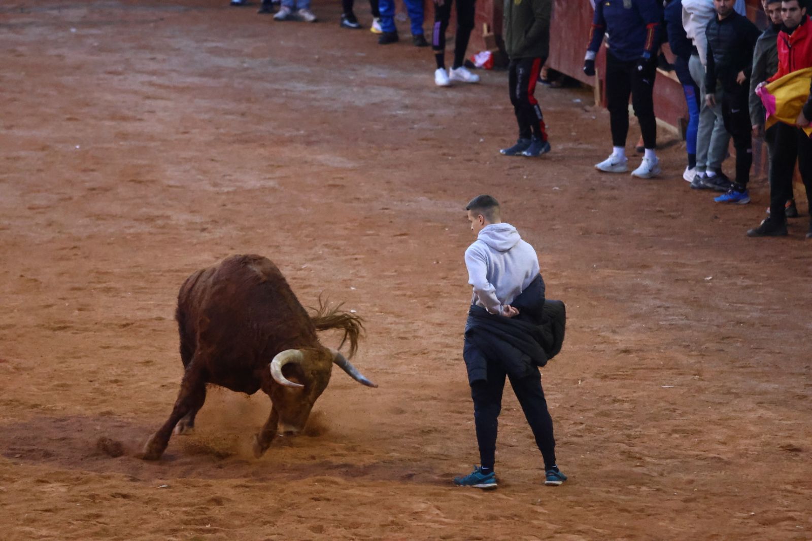 Capea de martes por la tarde en el Carnaval del Toro 2026