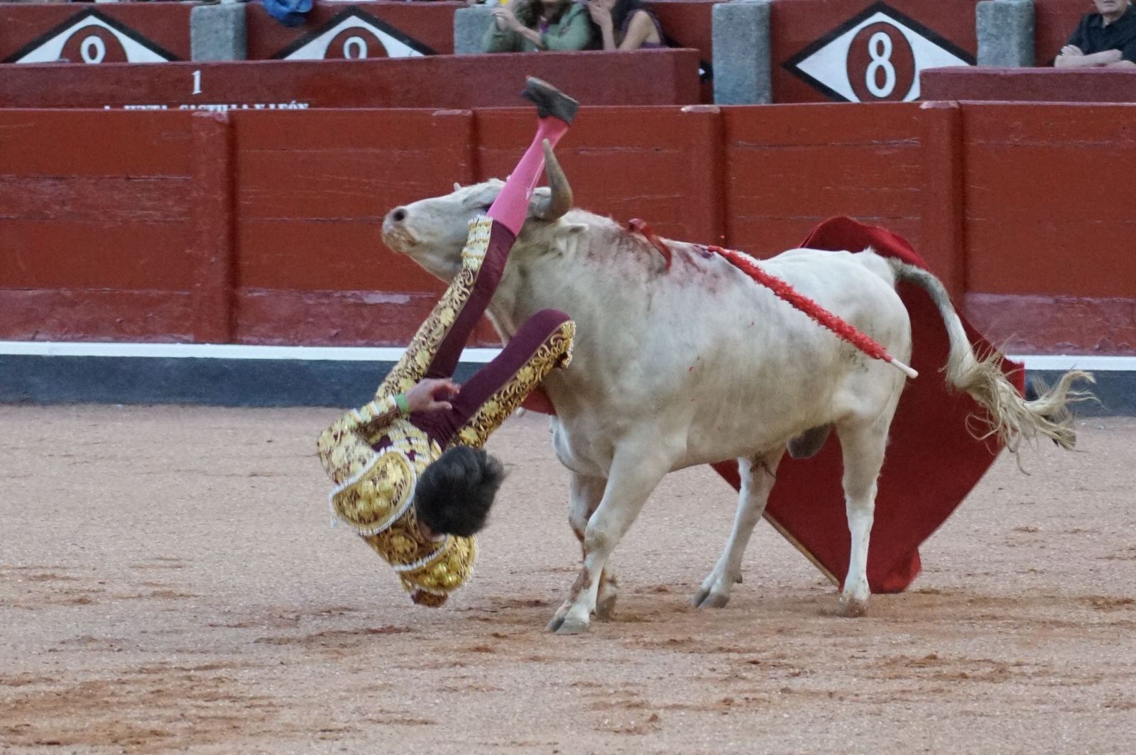 Clase práctica con alumnos de la Escuela de Tauromaquia de Salamanca (Diego Mateos, Noel García y Álvaro Rojo con erales de Esteban Isidro)