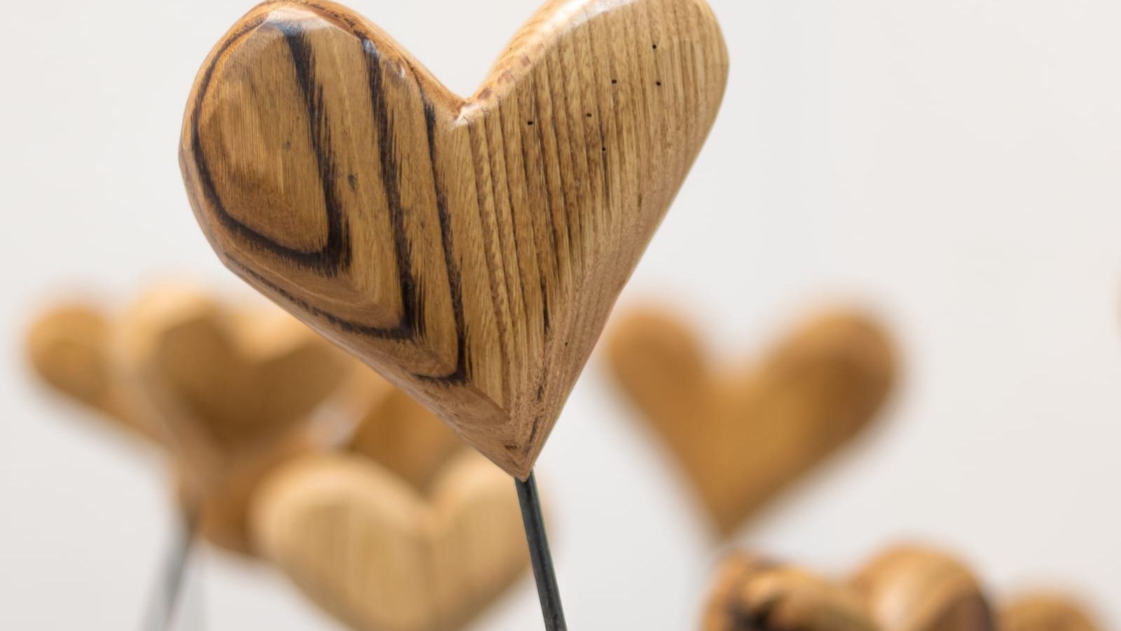 Exposición 'Bosque de corazones' del artista Ángel Martín