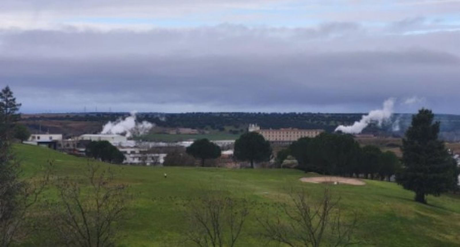 Concentración de plantas en Salamanca. FOTO: Cuidamos Villamayor