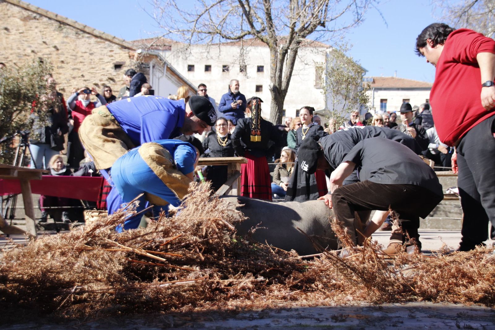 20230204125842-mg-4954