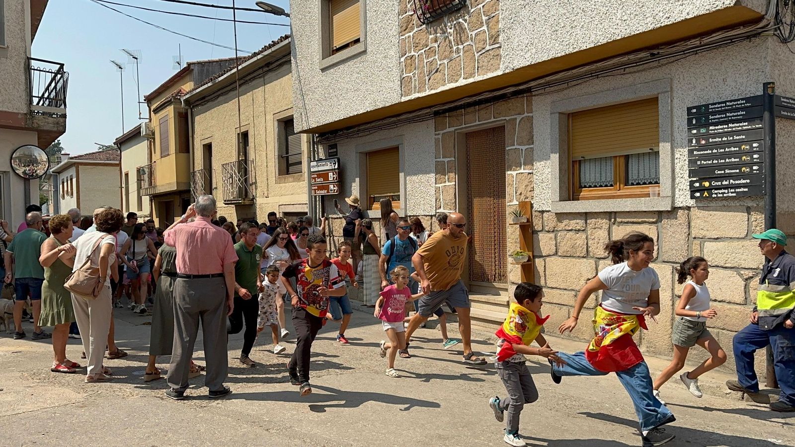 Mini bueyes en Aldeadávila