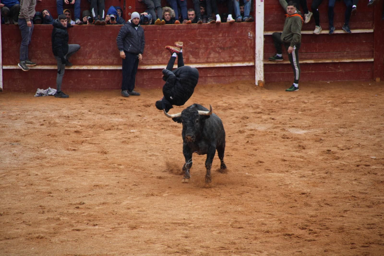 whatsapp-image-2025-03-03-at-12-46-51-3