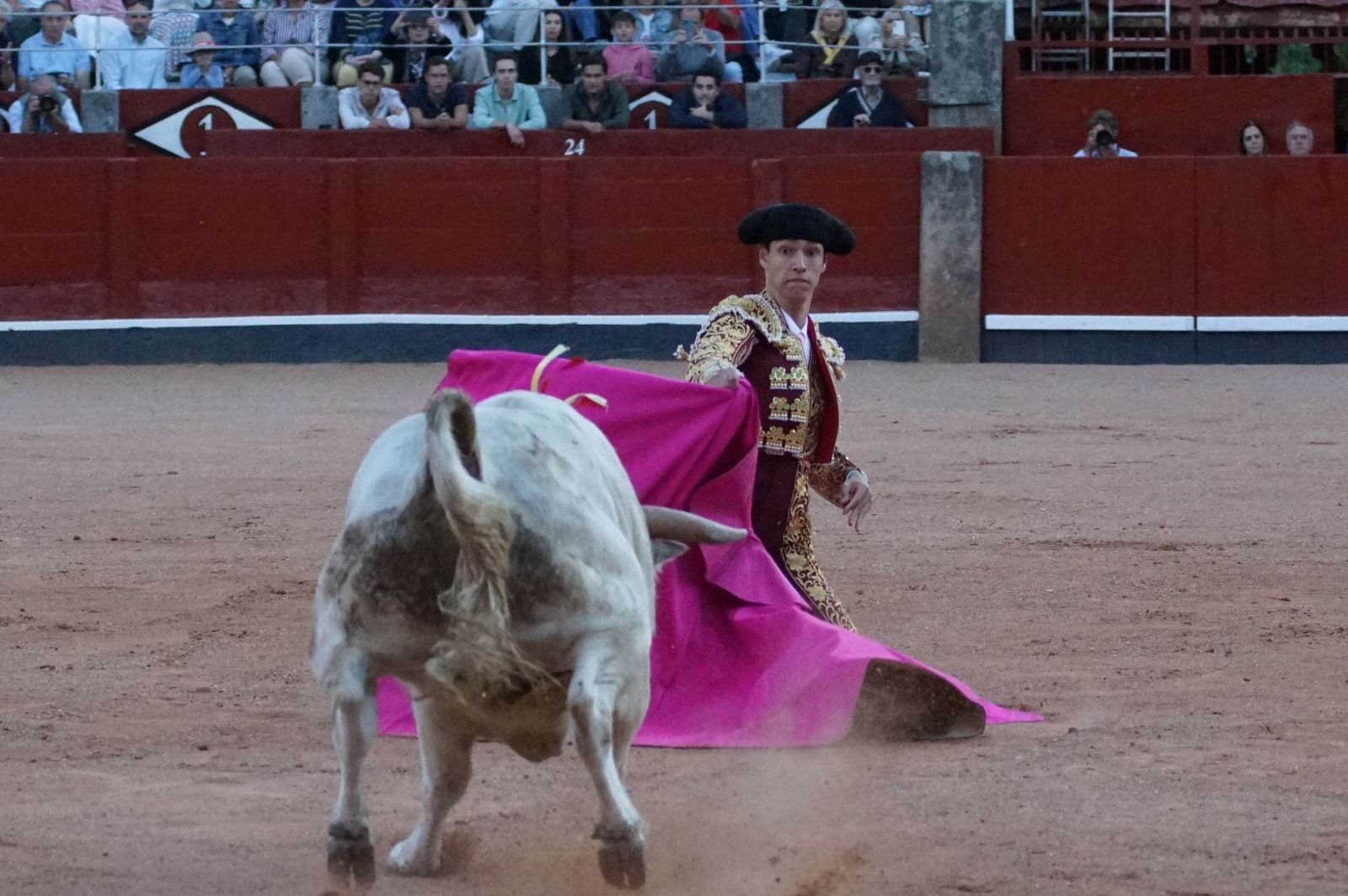 Clase práctica con alumnos de la Escuela de Tauromaquia de Salamanca (Diego Mateos, Noel García y Álvaro Rojo con erales de Esteban Isidro)