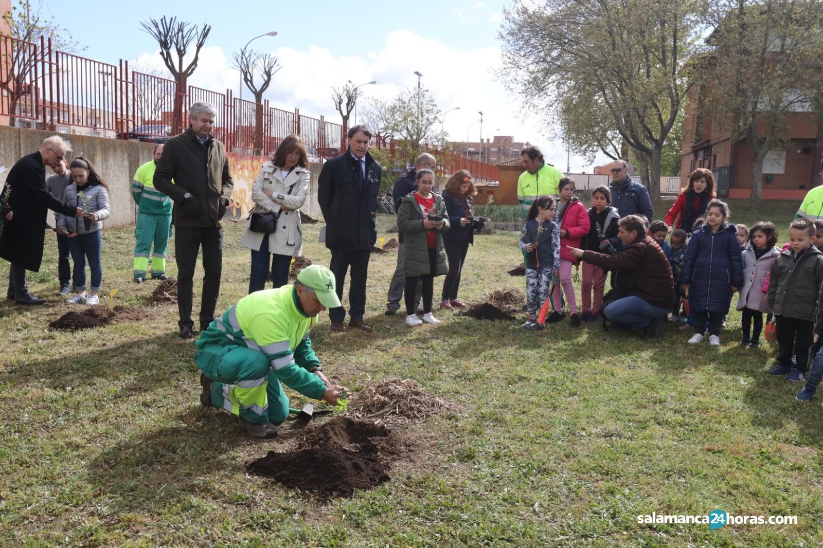 Plantación árbol Lazarillo de Tormes (2)