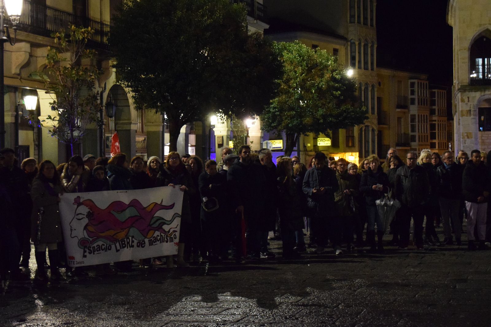 manifestacion-por-el-8m-en-zamora-44
