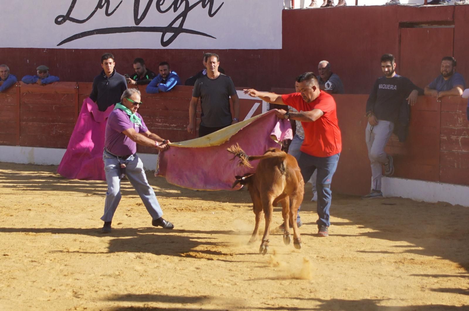 whatsapp-image-2024-09-08-at-14-05-32-2