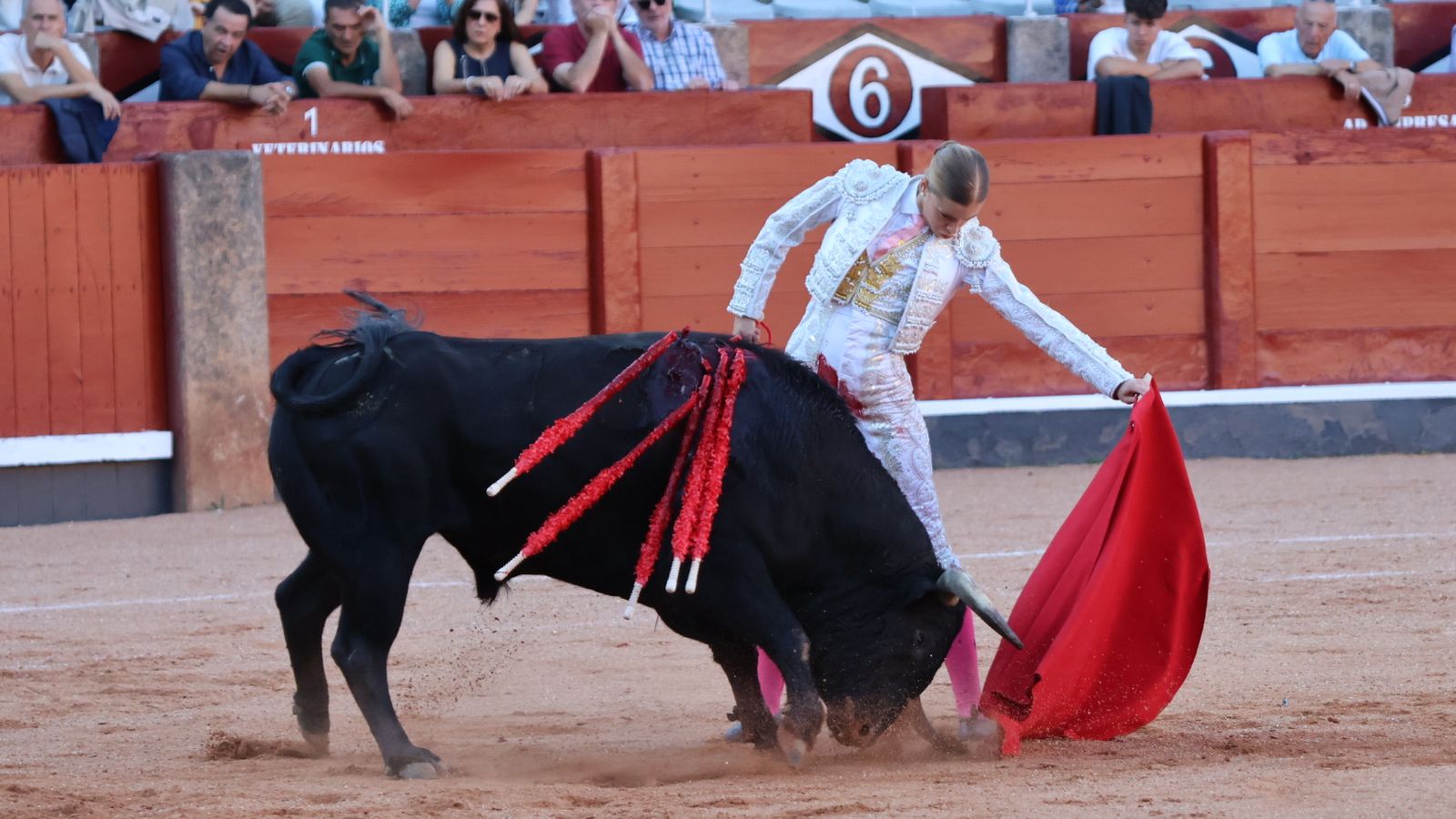 Olga Casado ante el novillo 'Caporal' de Montalvo