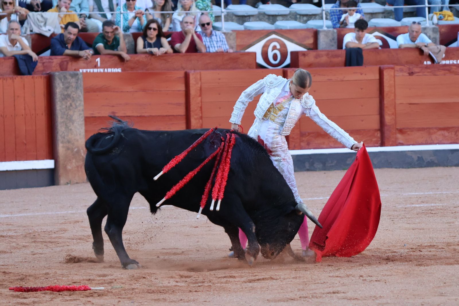 La Glorieta revive el aroma de la feria taurina con el primer festejo: Lea Vicens, Raquel Martín y Olga Casado