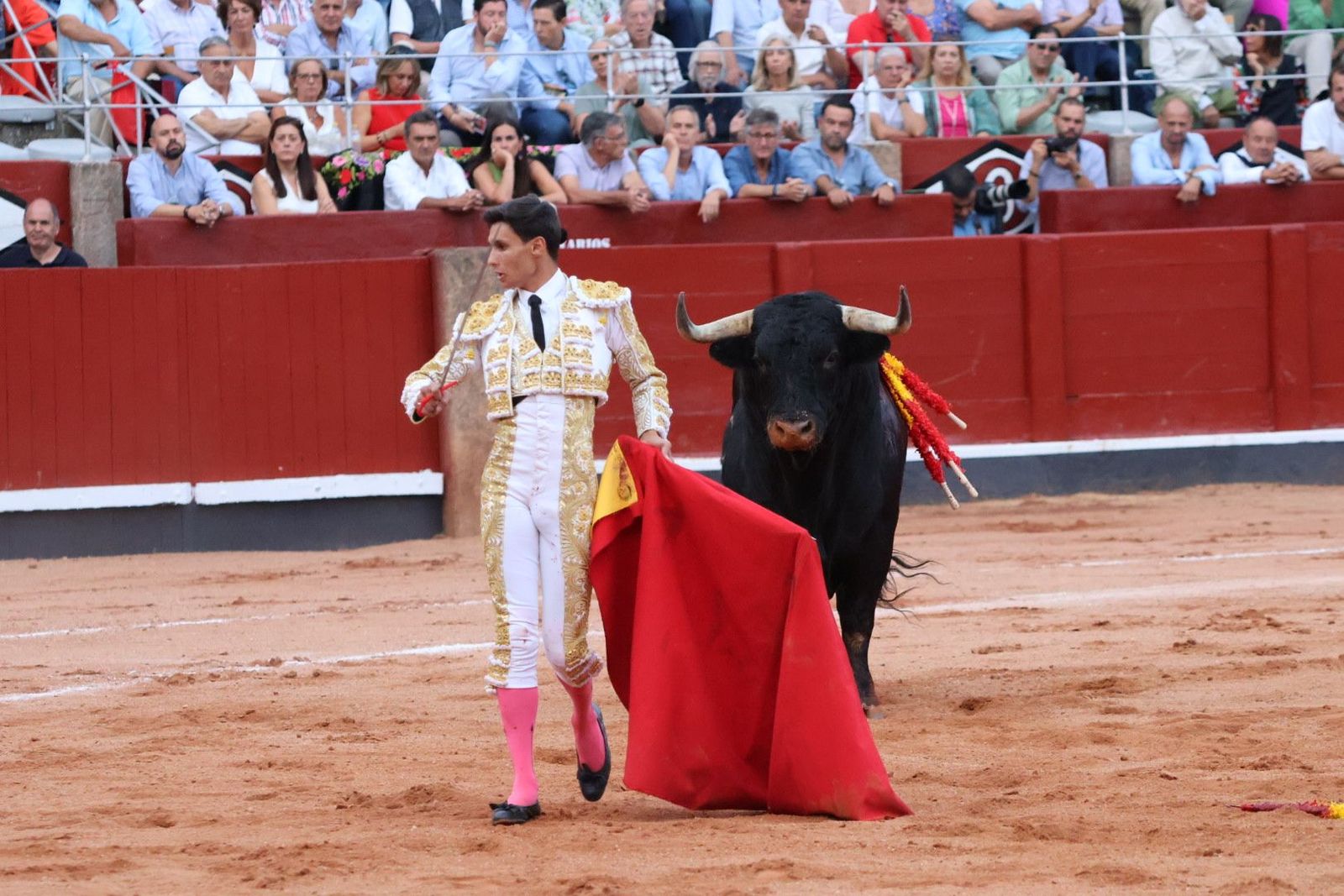 20230910191949-img-2277