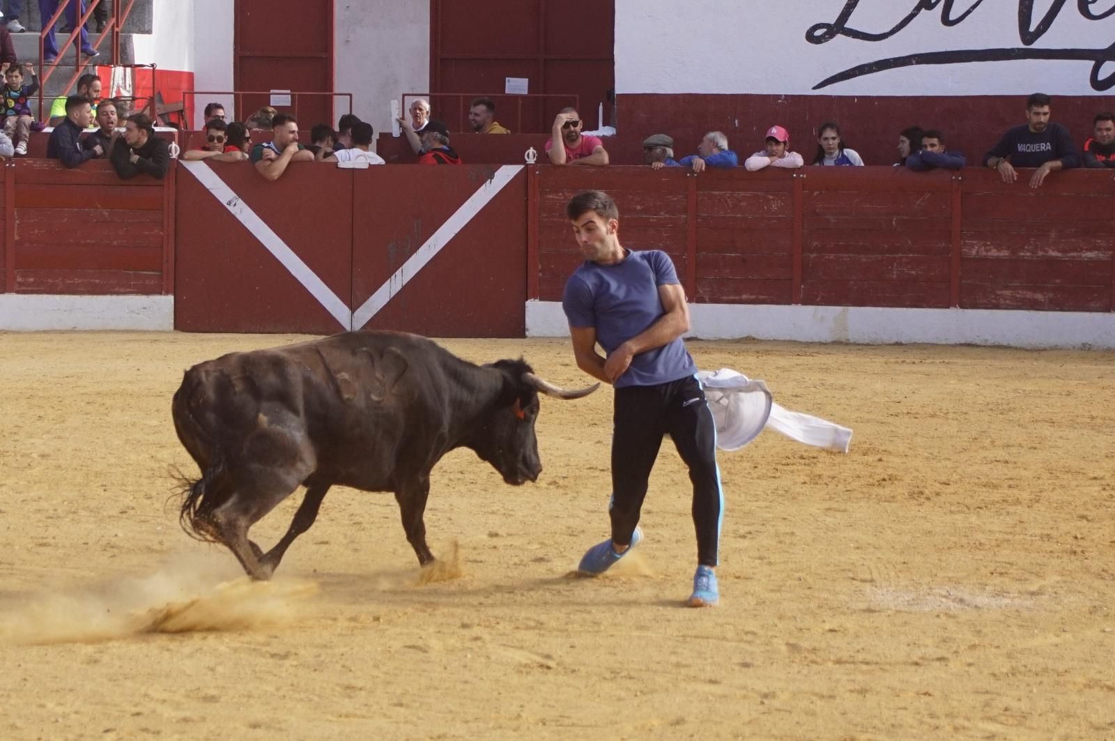 whatsapp-image-2024-09-08-at-14-05-21-6