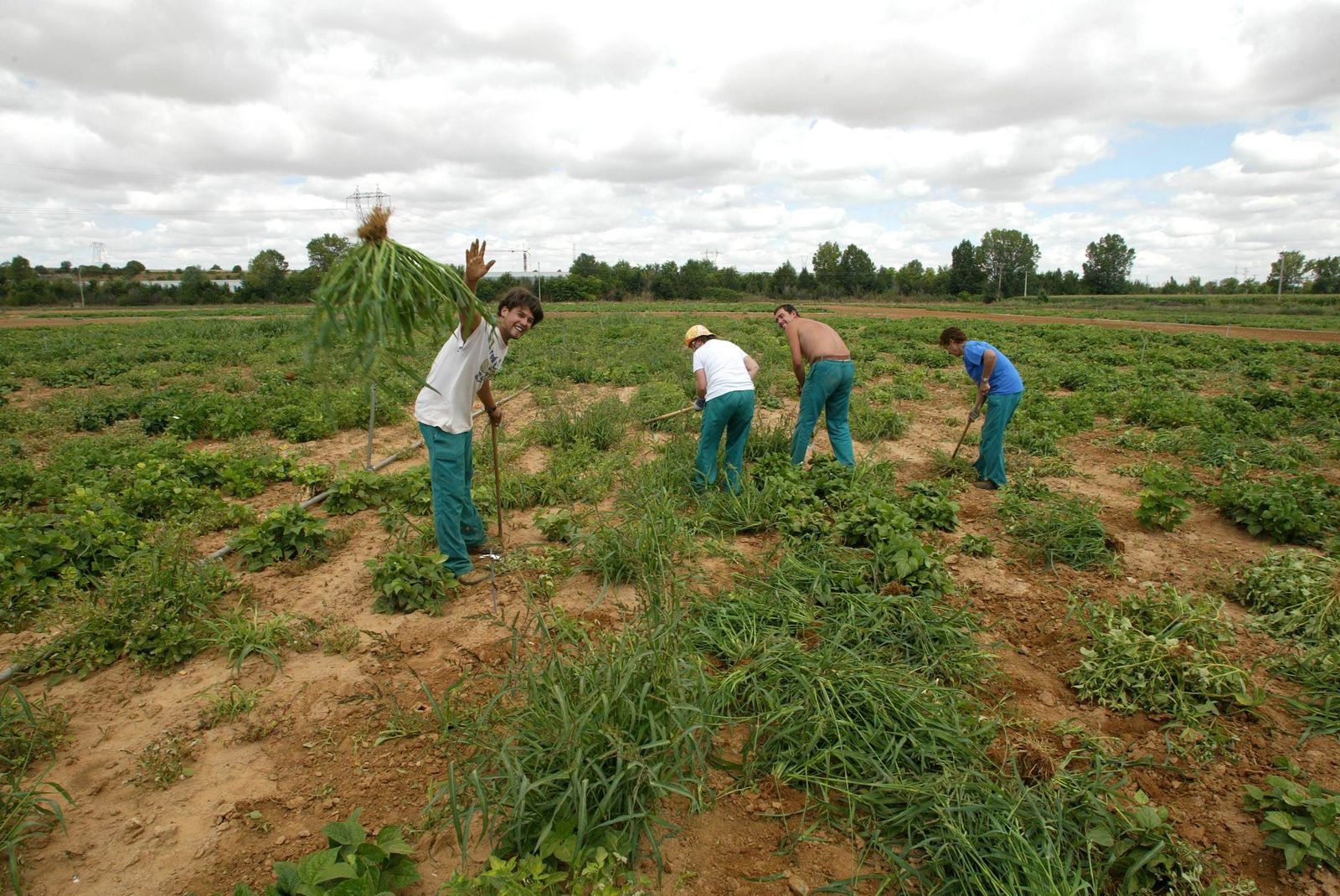 Trabajadores del Instituto Tecnológico Agrario de Castilla y León (Itacyl) en Valladolid. ICAL