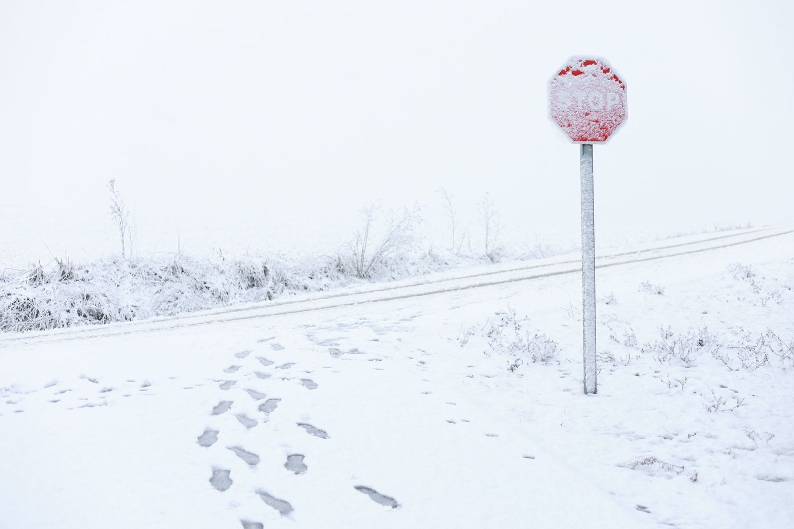 Nieve en la provincia de Zamora. JL Leal. ICAL (2).jpg
