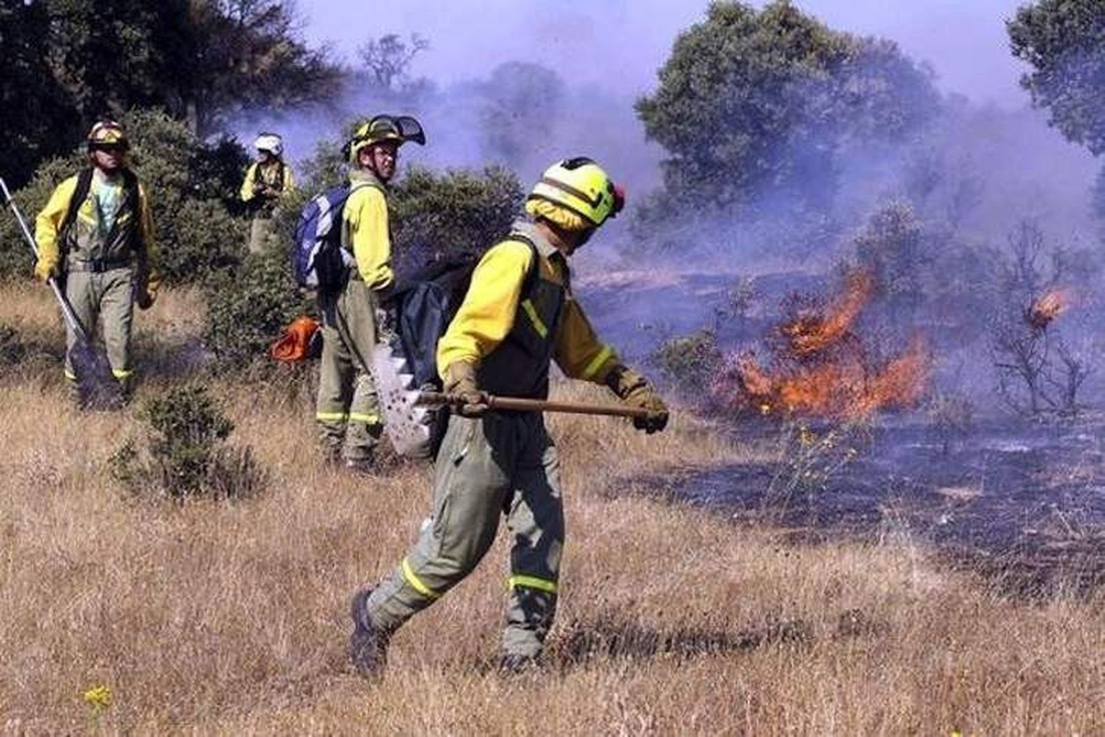 Arde media hectárea de pasto en Montemayor del Río