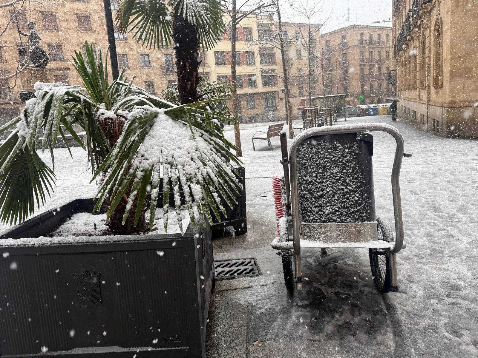 La nieve anega carreteras y tiñe de blanco Salamanca capital y provincia: imágenes de la nevada de este 28 de enero