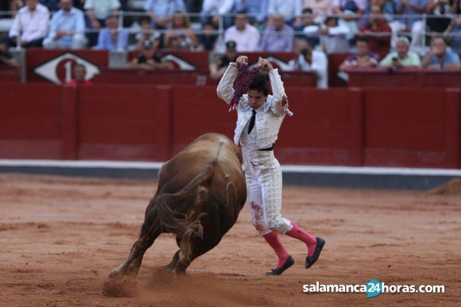 WhatsApp Image 2018 09 14 at 21.45.19