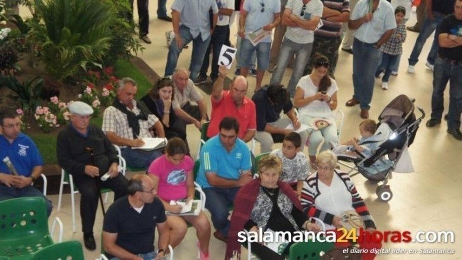 Dos ejemplares de la raza Assaf, record en la subasta de ovino Dos ejemplares de la raza Assaf, record en la subasta de ovino