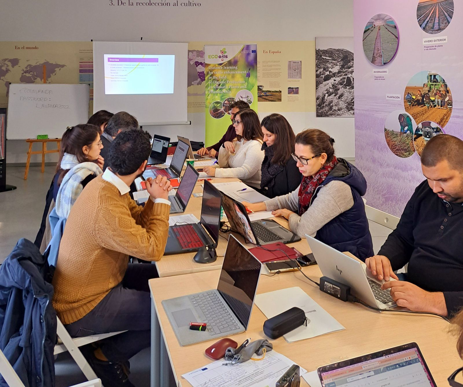 La Universidad de Salamanca reúne a los socios del proyecto europeo Eco Oils para conocer el cultivo de lavanda