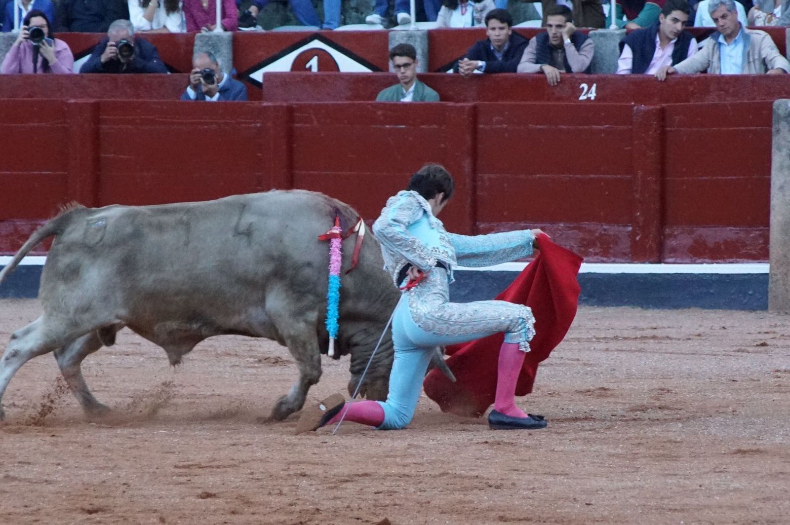 whatsapp-image-2022-09-08-at-9-21-54-pm-1