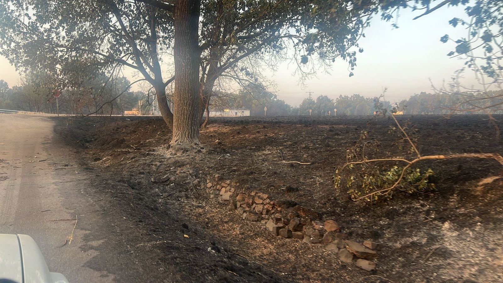 Incendio de Molezuelas de la Carballeda