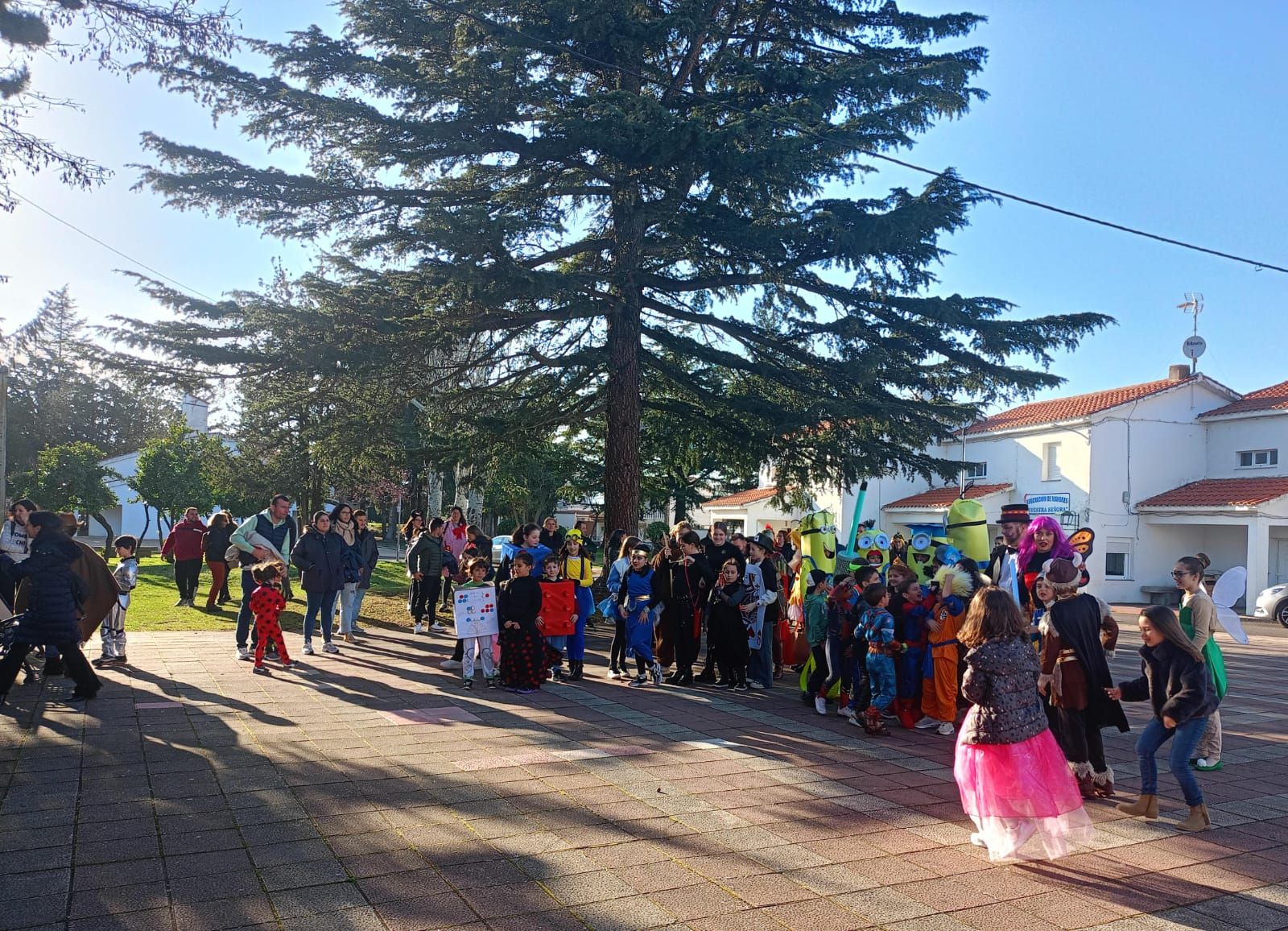 whatsapp-image-2025-03-05-at-14-44-36