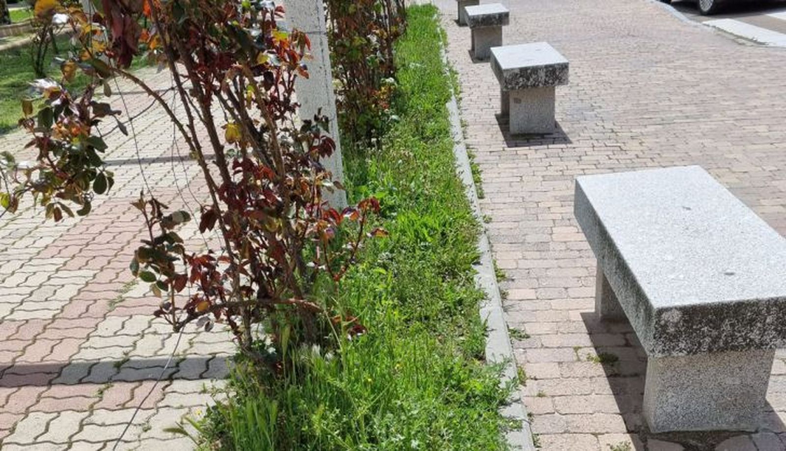 Fotografía facilita por el PP de Peñaranda sobre la situación del Parque de los Jardines