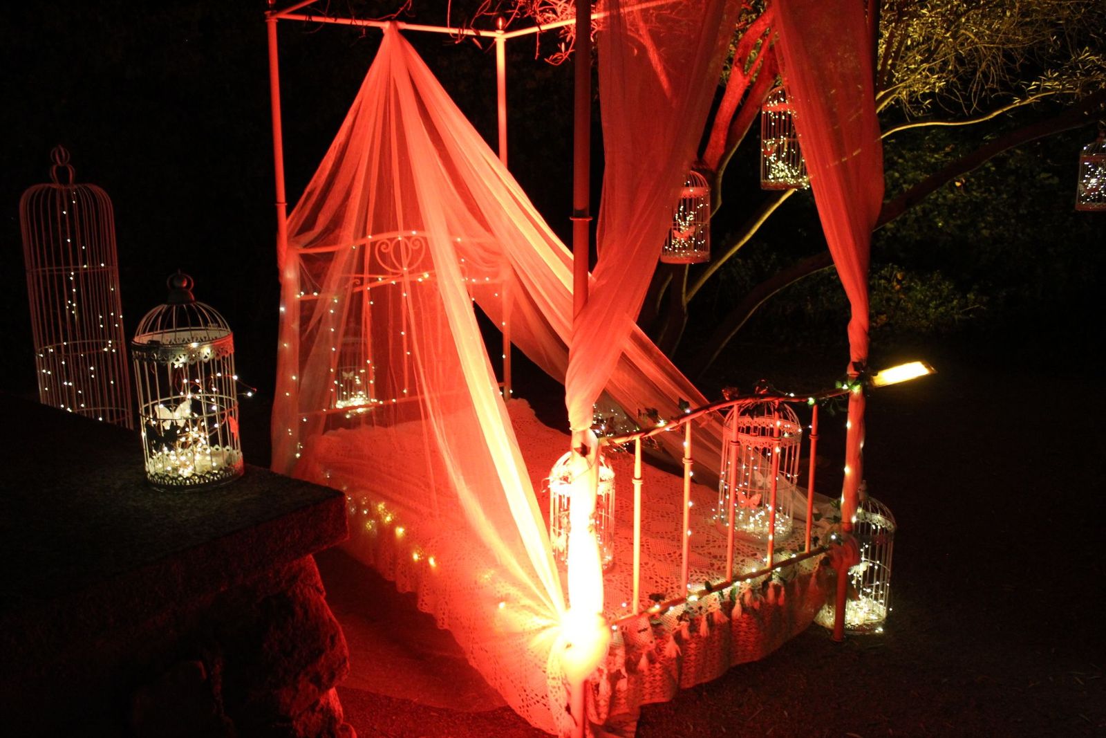 20231204212900-img-6419