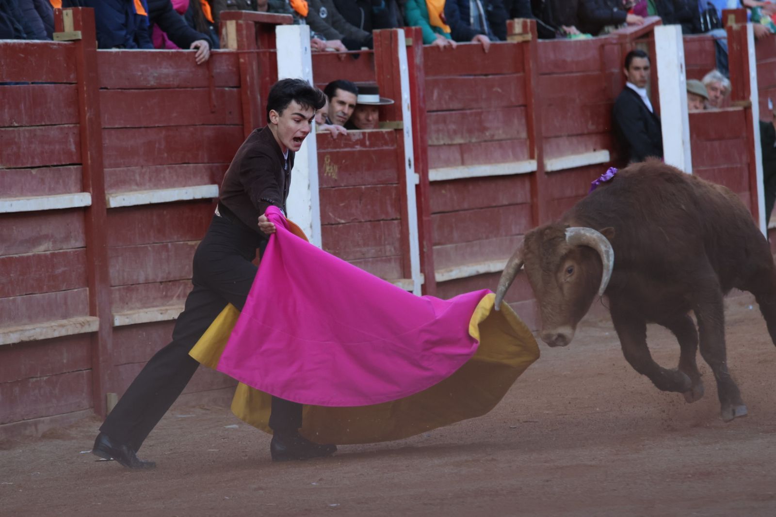 Festival taurino del Sábado en el Carnaval del Toro 2026 de Ciudad Rodrigo