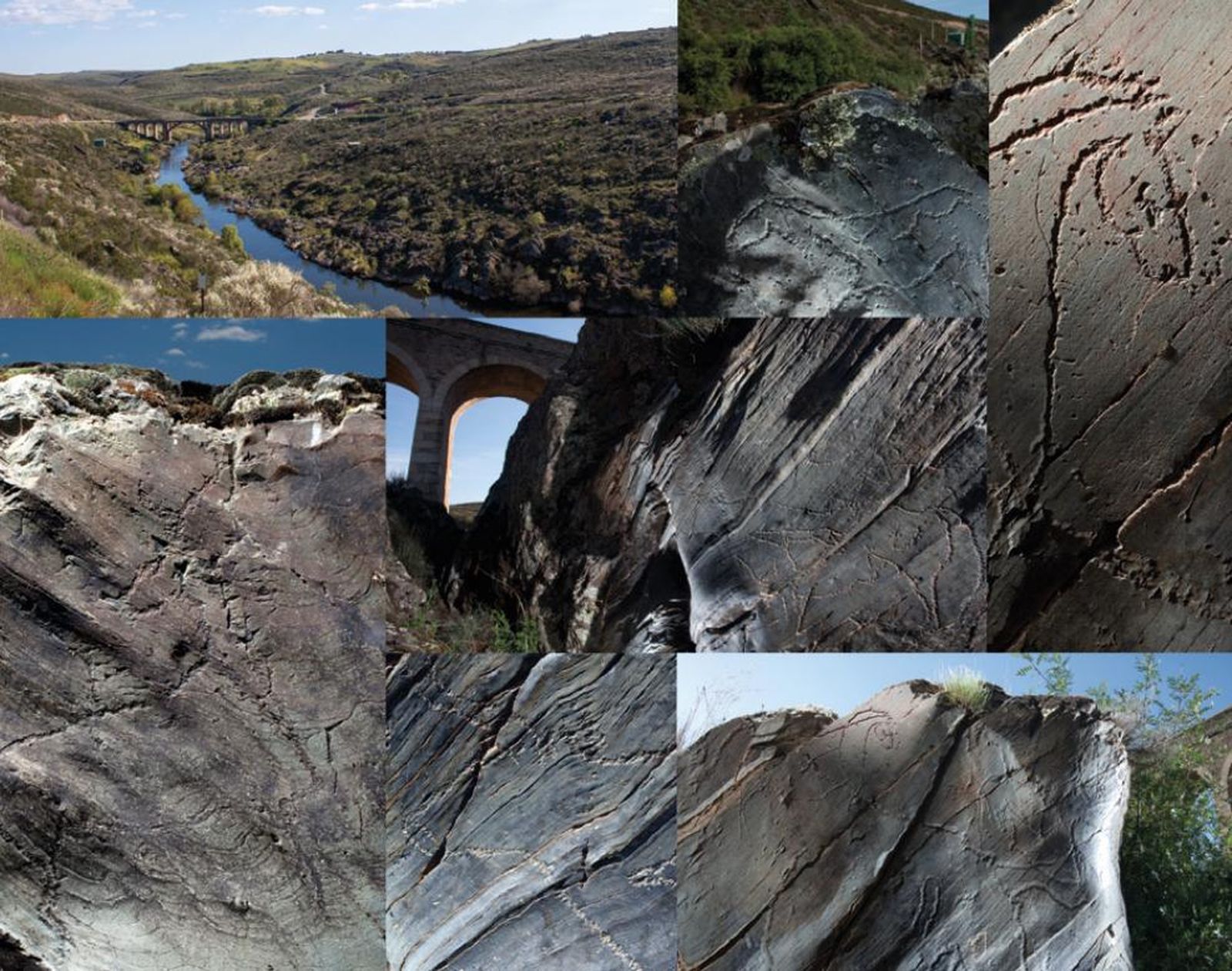 Captura de pantalla 2020 07 08 a las 11.36.44